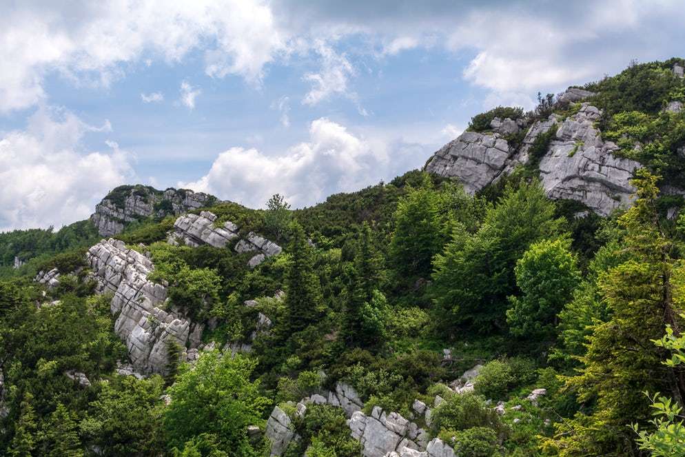 Park Narodowy Risnjak Chorwacja puzzle online