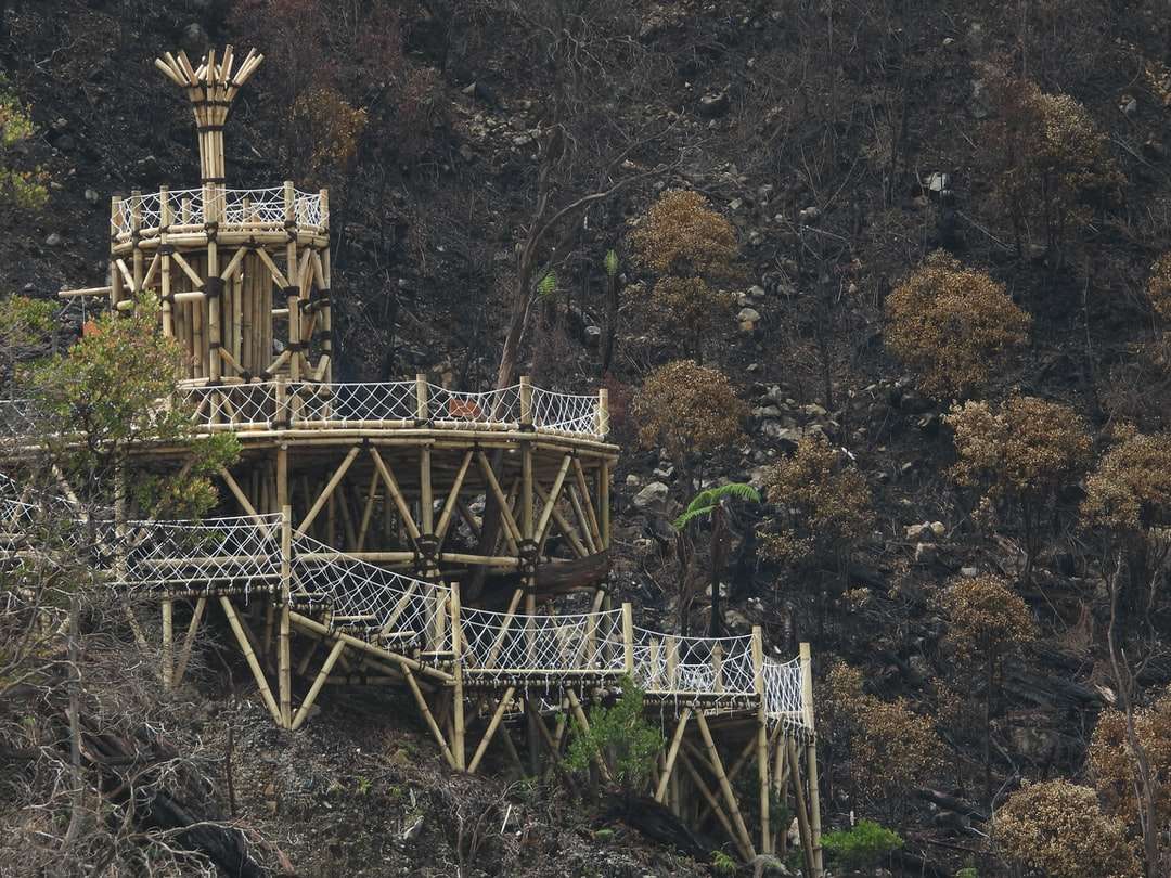 brązowy drewniany most otoczony drzewami puzzle online