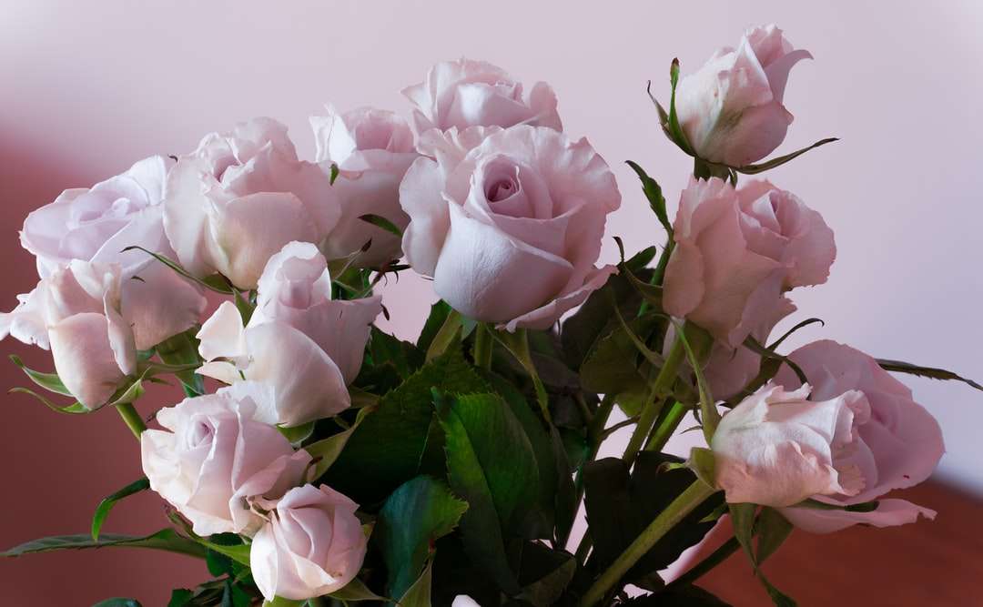 różowe róże w fotografii z bliska puzzle online