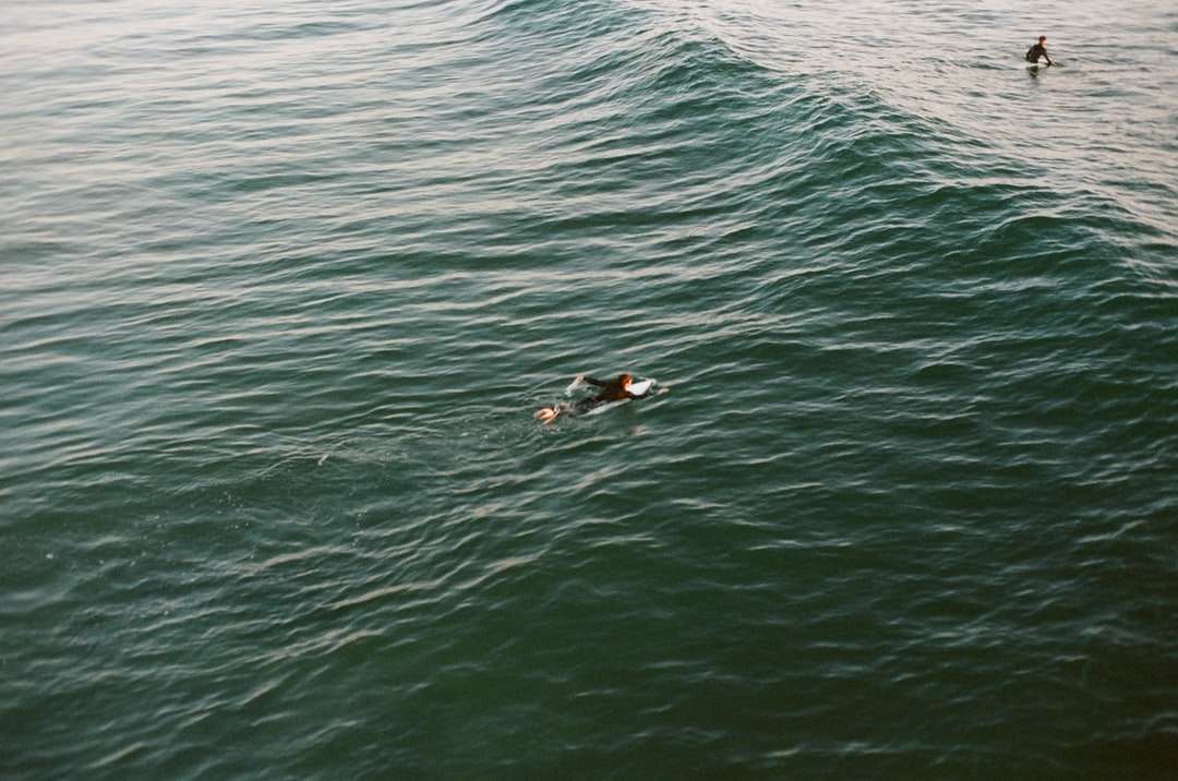 mężczyzna w czarnym kostiumie kąpielowym na środku oceanu puzzle online
