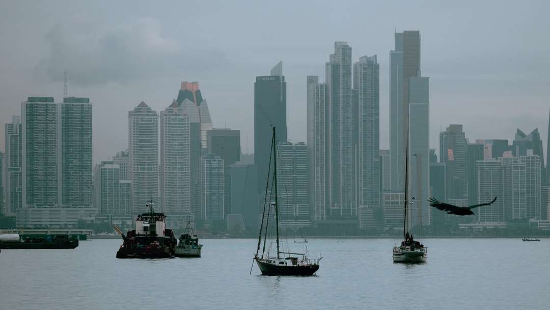 biało-czarna łódź na morzu w pobliżu budynków miejskich puzzle online