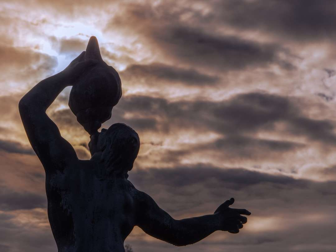 sylwetka posągu człowieka pod pochmurne niebo w ciągu dnia puzzle online