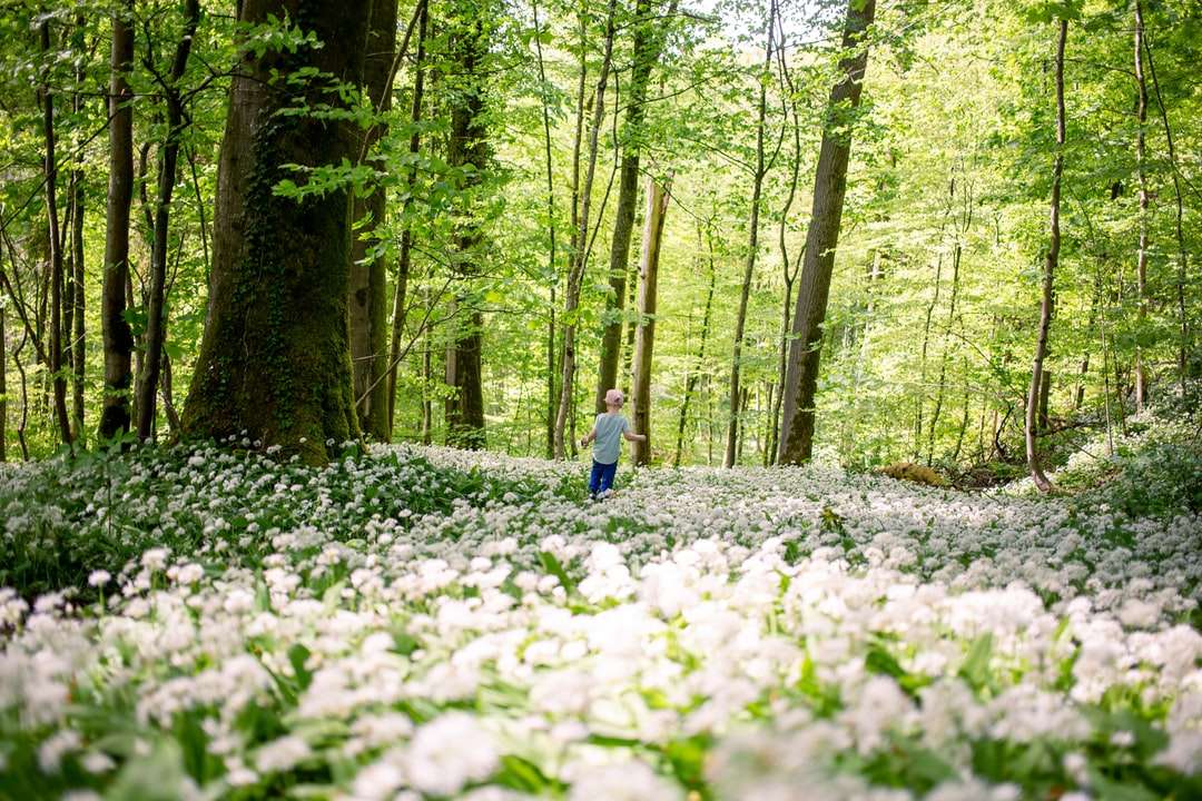 kobieta w niebieskiej koszuli z długim rękawem spaceru po lesie puzzle online