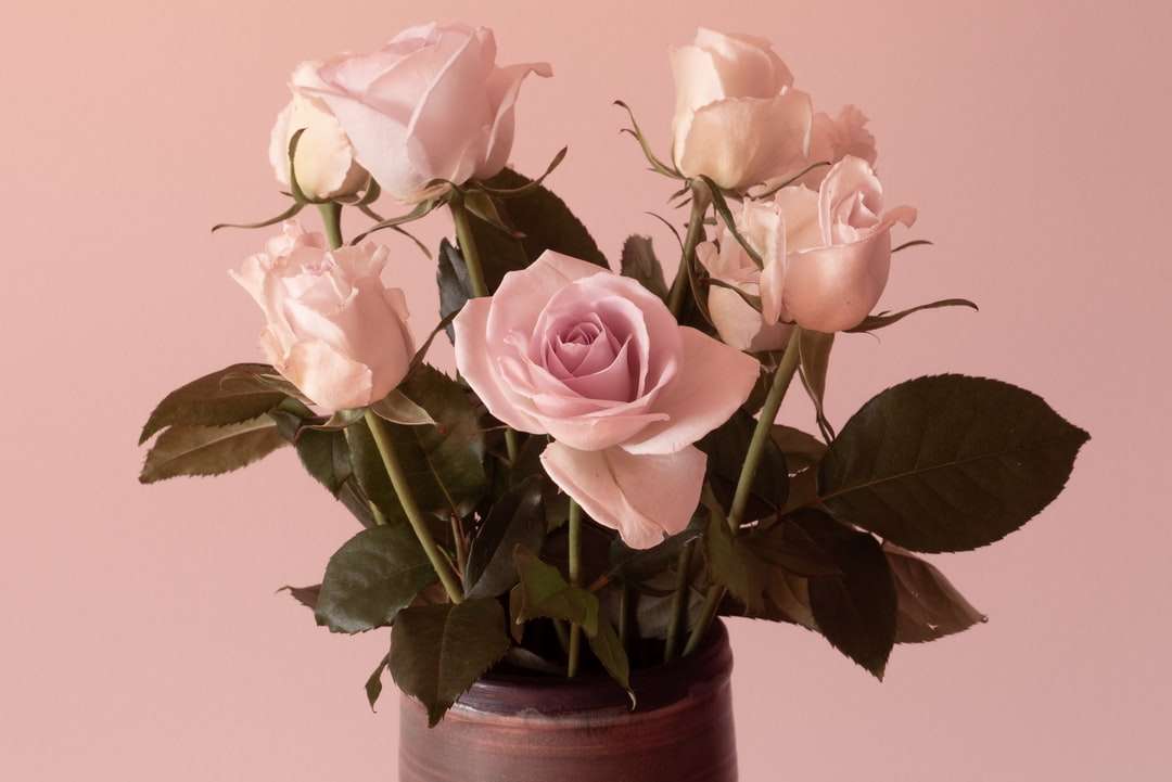 różowe róże w brązowym glinianym garnku puzzle online