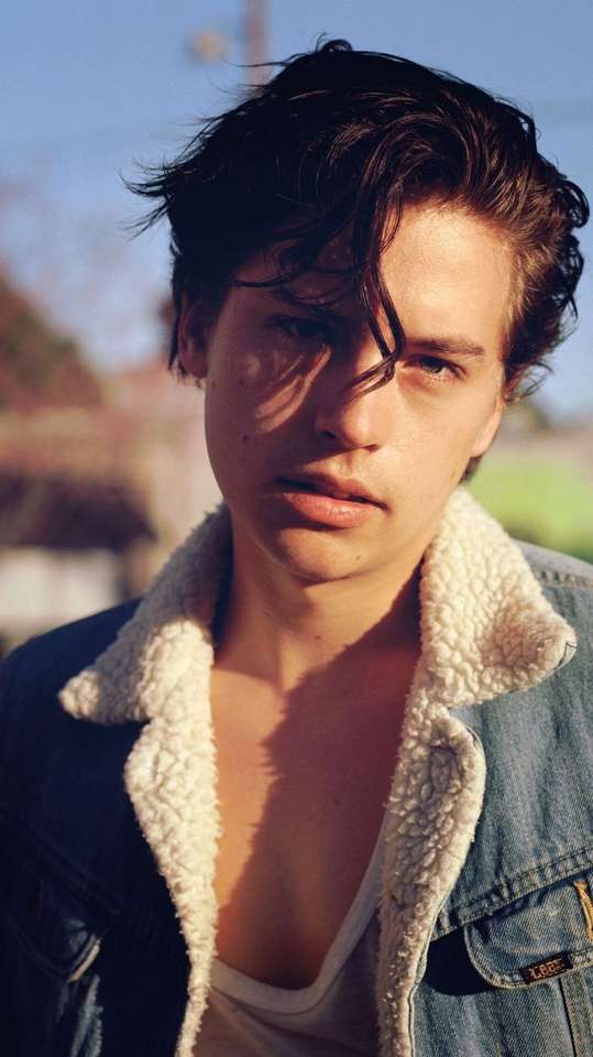 Cole Sprouse puzzle online