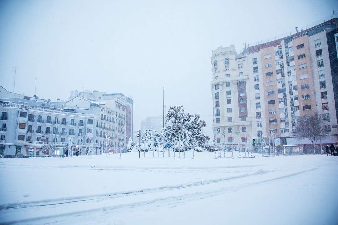 białe pole pokryte śniegiem w pobliżu białego betonowego budynku puzzle online