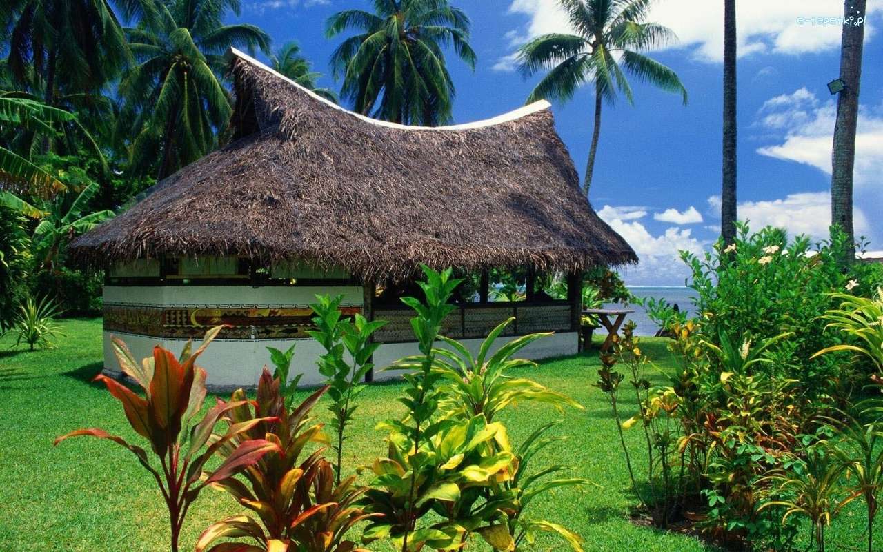 house in tropics puzzle