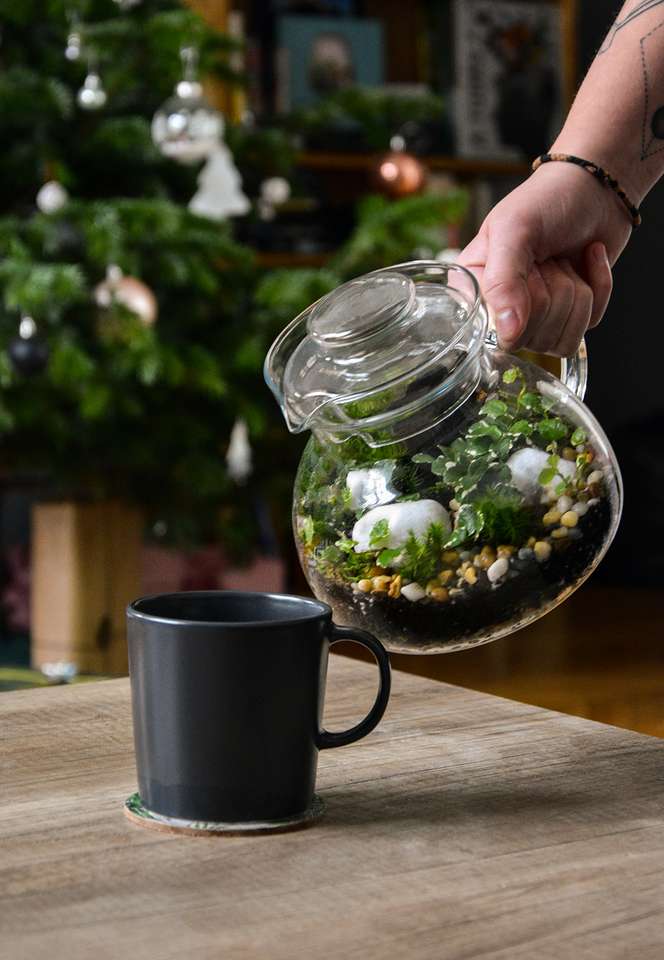 Teapot Florarium firmy Urban Plants puzzle online