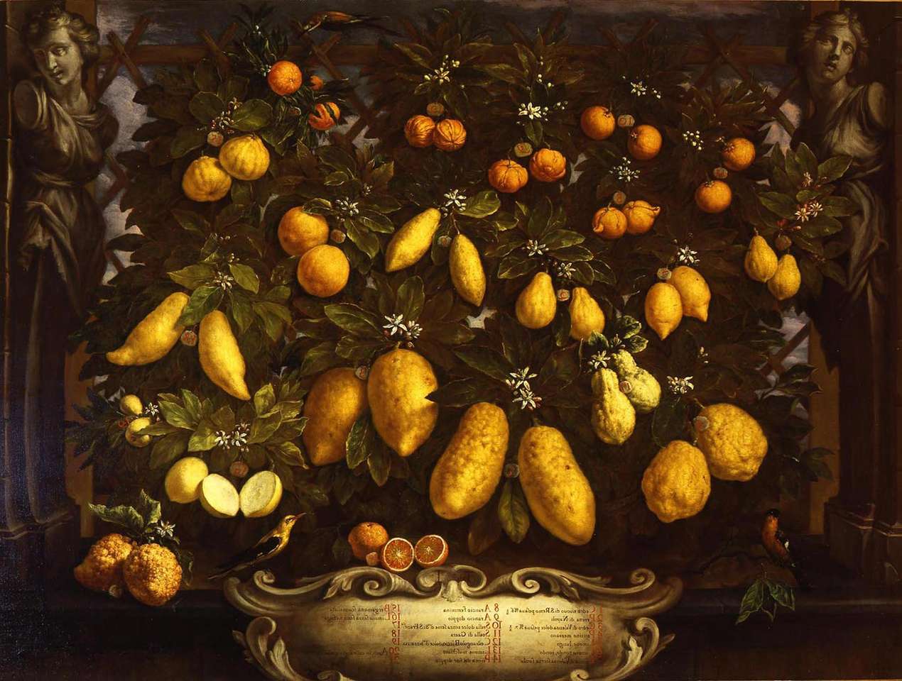 Bartolomeo Bimbi, Melangoli, cedry i cytryny, 1715 puzzle online