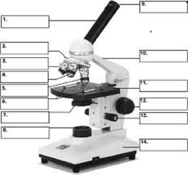 Gra Puzzle z mikroskopem puzzle online