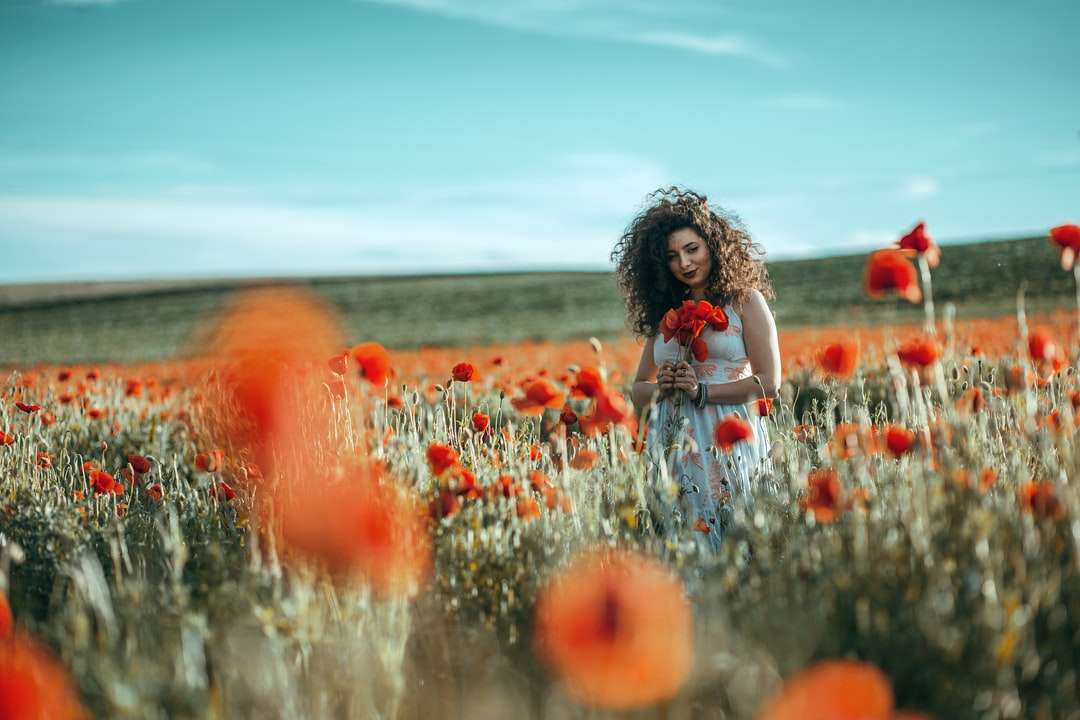 dziewczyna w białej koszuli siedzi na polu czerwony kwiat puzzle online