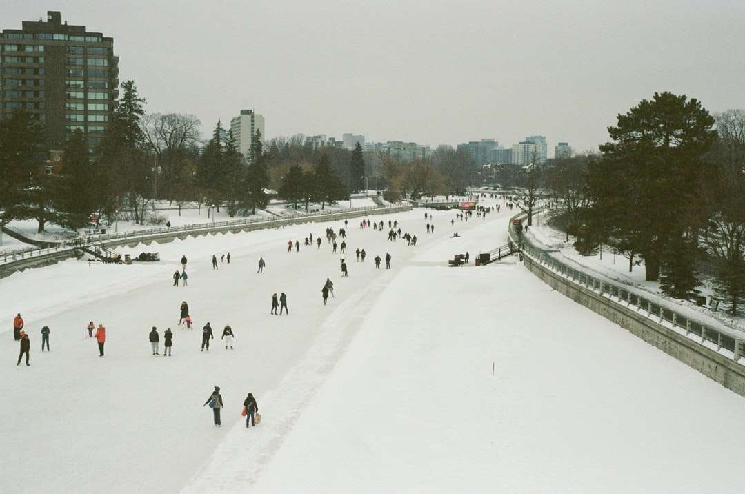 ludzie chodzą po zaśnieżonym polu w ciągu dnia puzzle online
