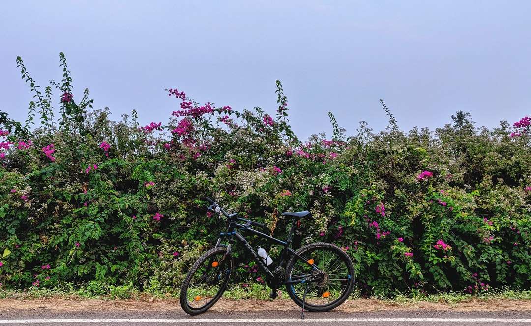 czarny rower zaparkowany obok różowych kwiatów w ciągu dnia puzzle online
