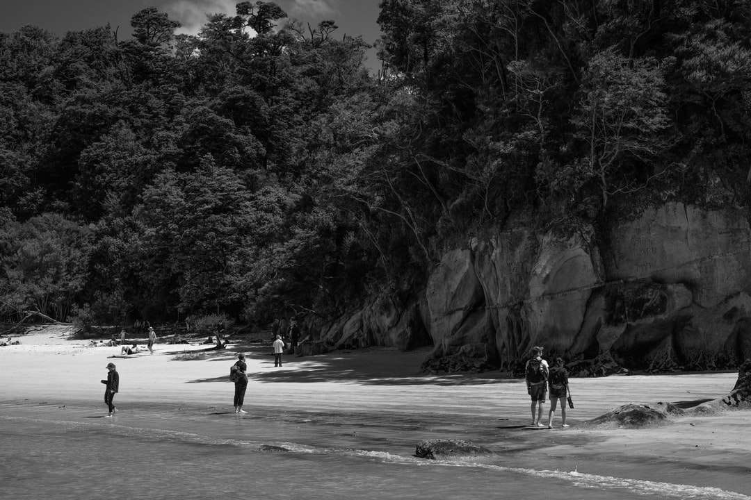 zdjęcie w skali szarości ludzi spacerujących po plaży puzzle online