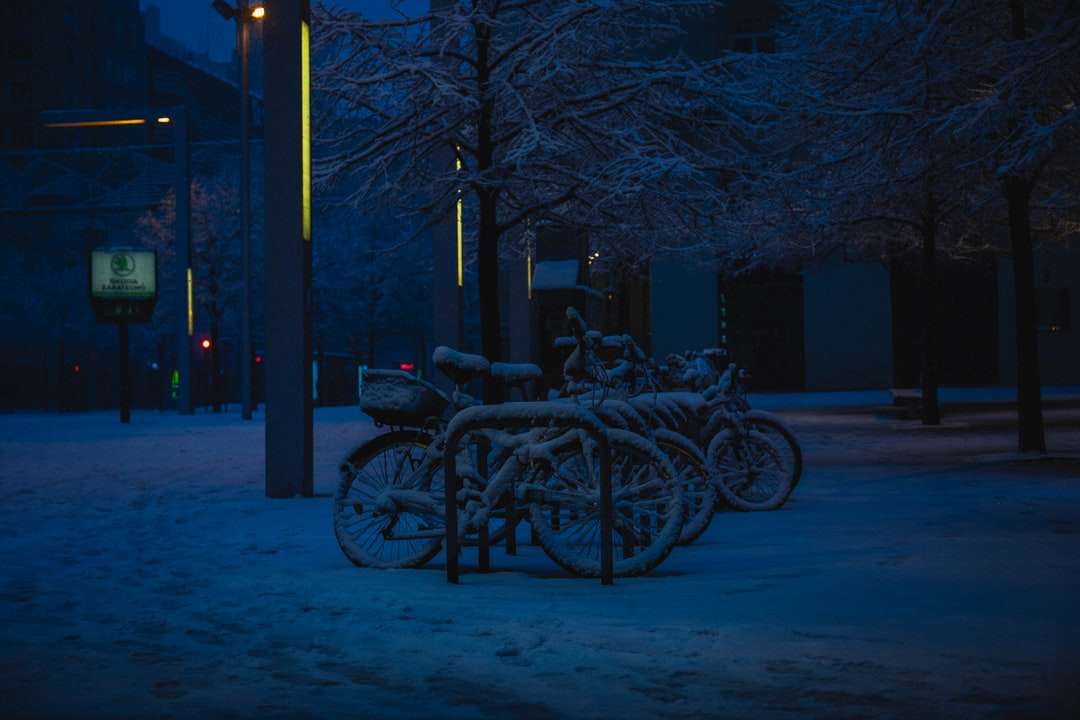 czarny rower zaparkowany obok nagiego drzewa w porze nocnej puzzle online