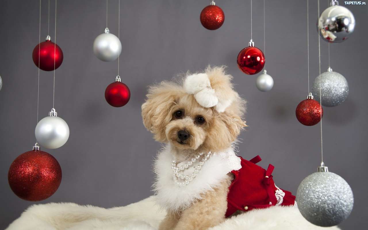 Pies ubranko świąteczne bombki. puzzle online