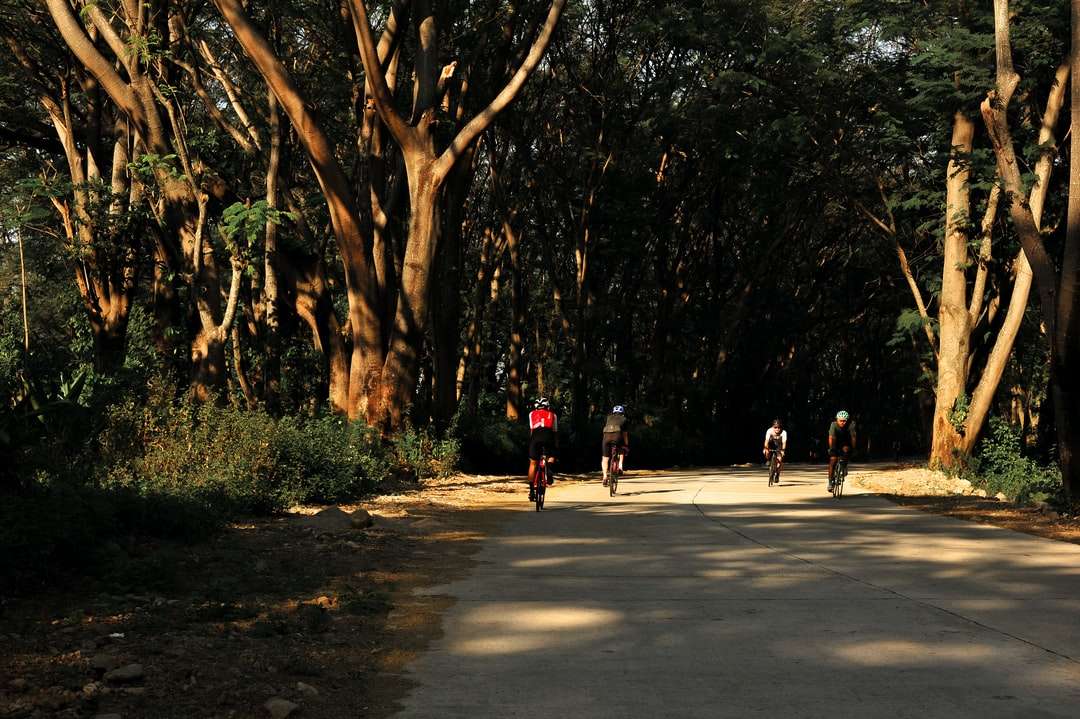 ludzie chodzą po szarej betonowej drodze otoczonej drzewami puzzle online