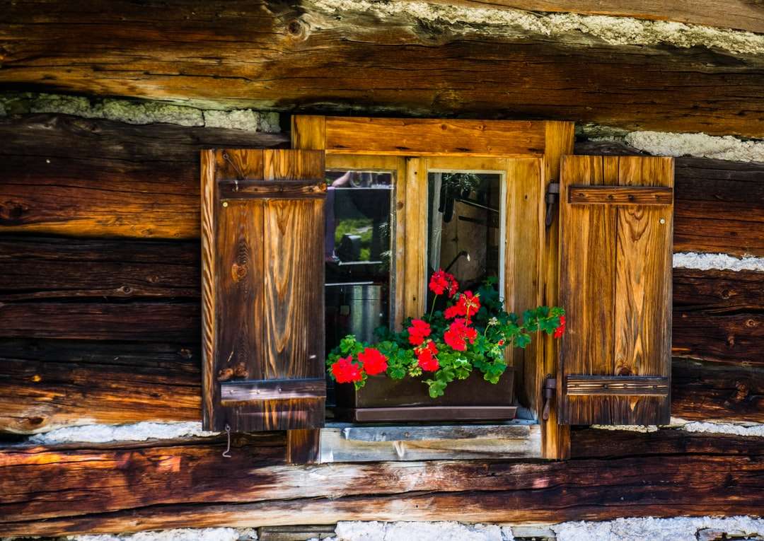 brązowe drewniane drzwi z różowymi i czerwonymi kwiatami puzzle online