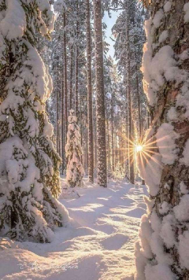 Zima w lesie. puzzle online