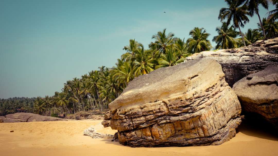 brązowa formacja skalna w pobliżu zielonej palmy w ciągu dnia puzzle online