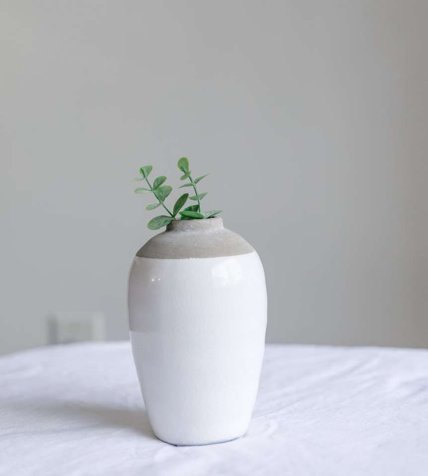 zielona roślina w białym wazonie ceramicznym puzzle online