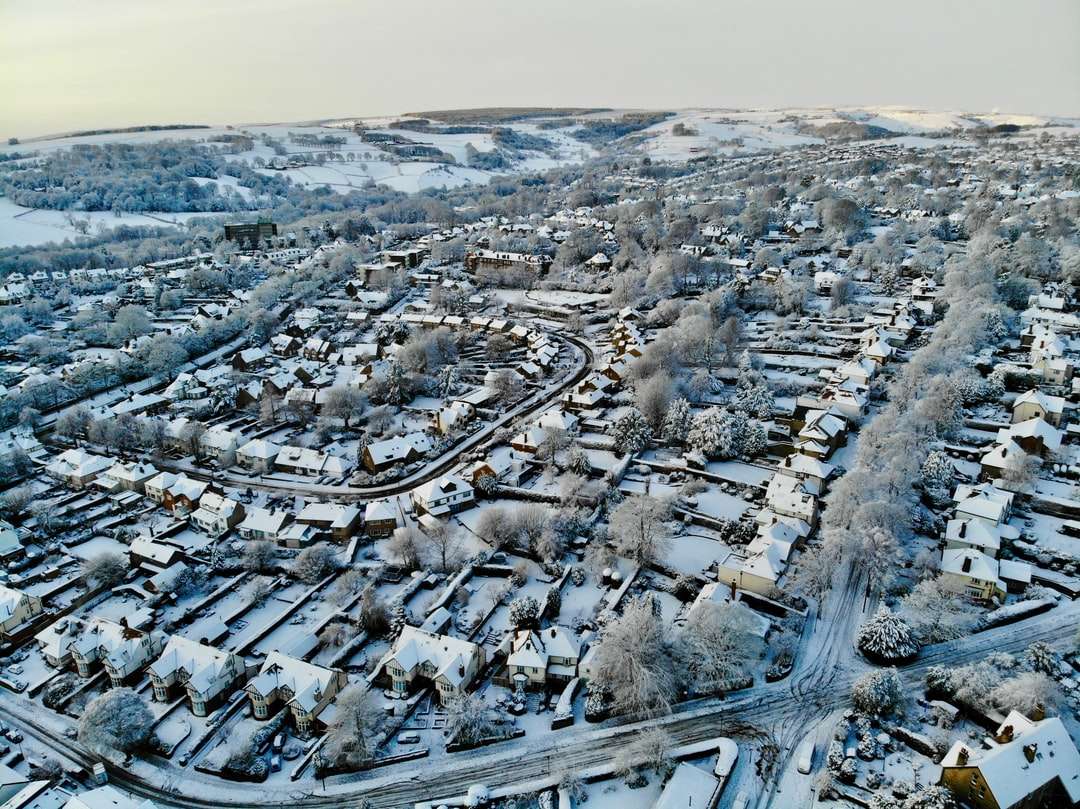 luchtfoto van de stad overdag legpuzzel