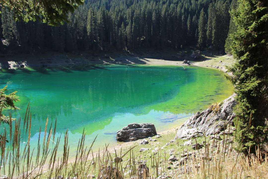 zielone jezioro otoczone zielenią w ciągu dnia puzzle online