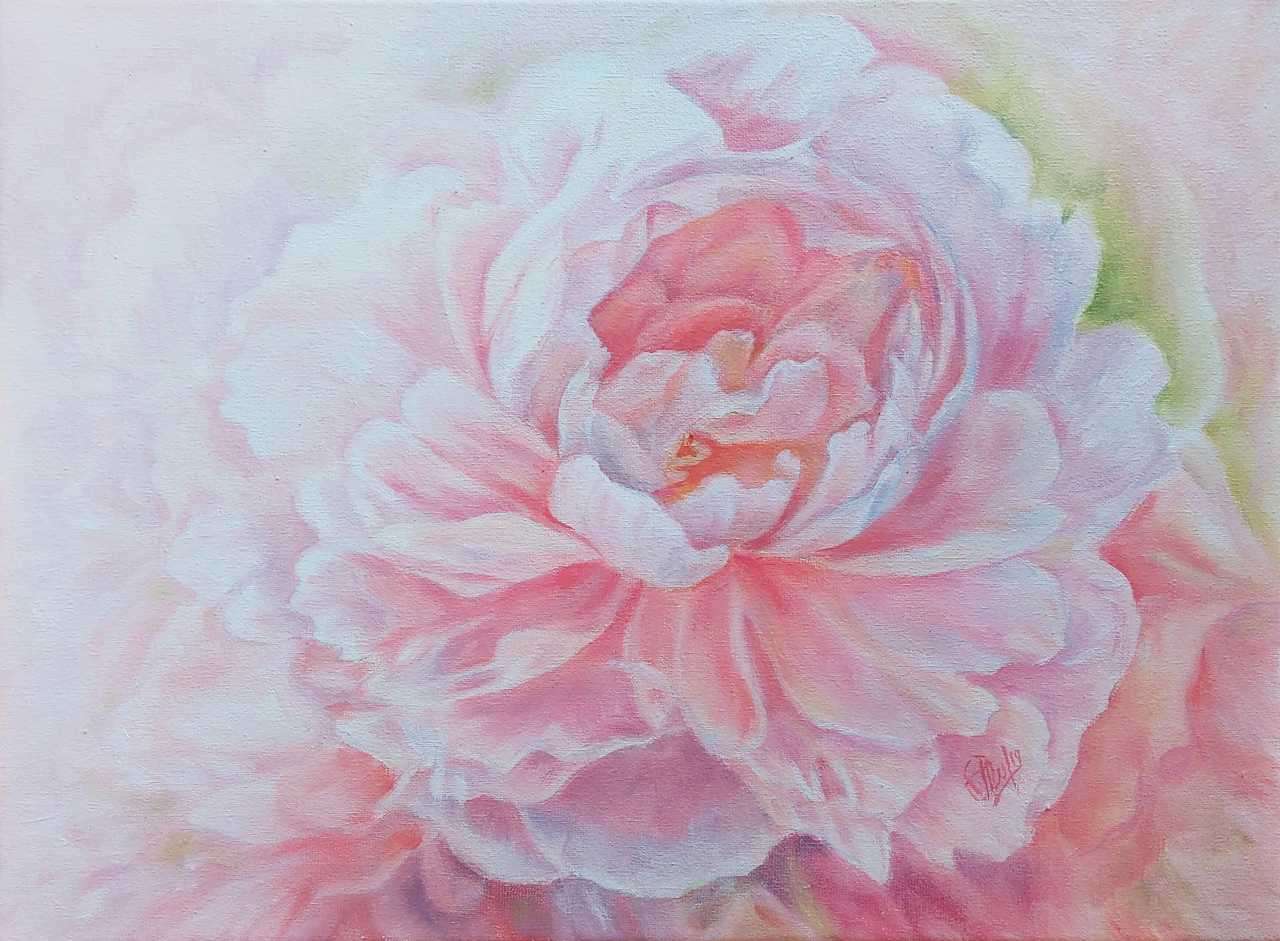 Malowanie piwonii biało-różowe puzzle online