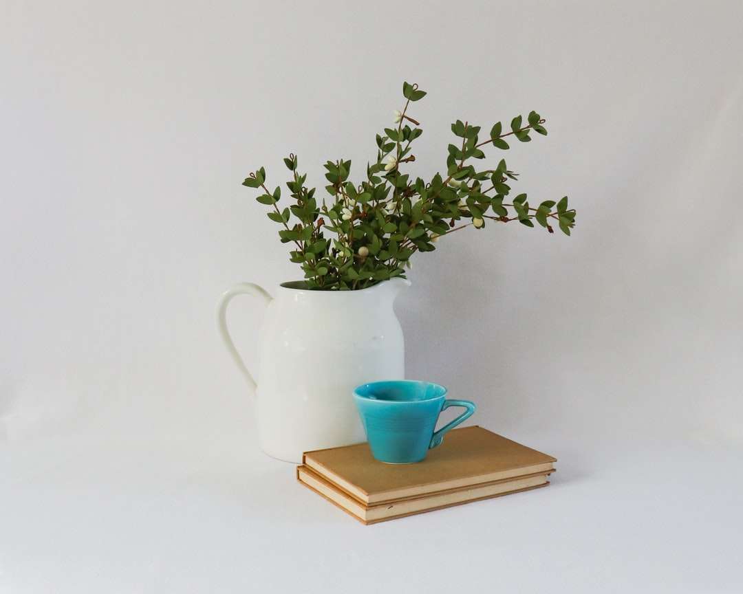 zielona roślina w niebieskim ceramicznym kubku na brązowej drewnianej podkładce puzzle online
