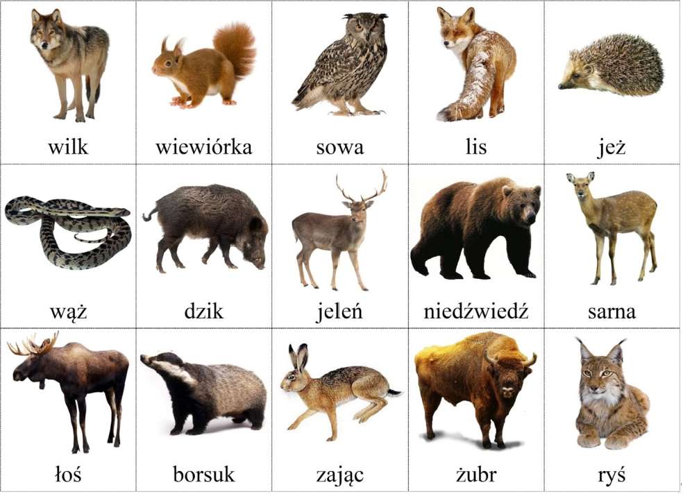 zwierzęta leśne puzzle online