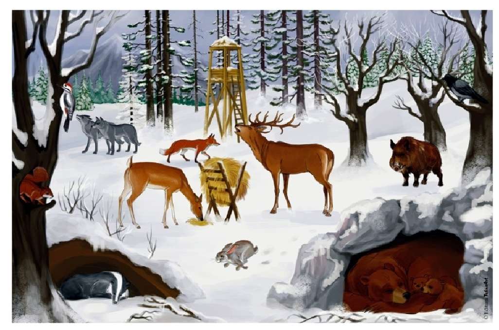 Zwierzęta zimą puzzle online