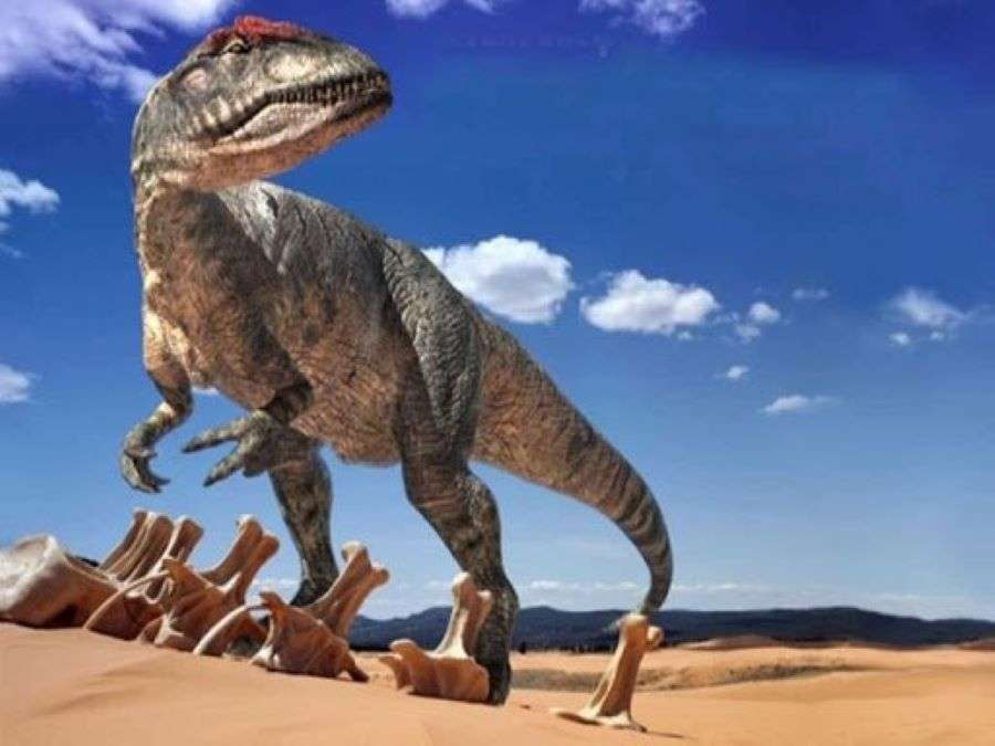 dinozaur 2 puzzle online