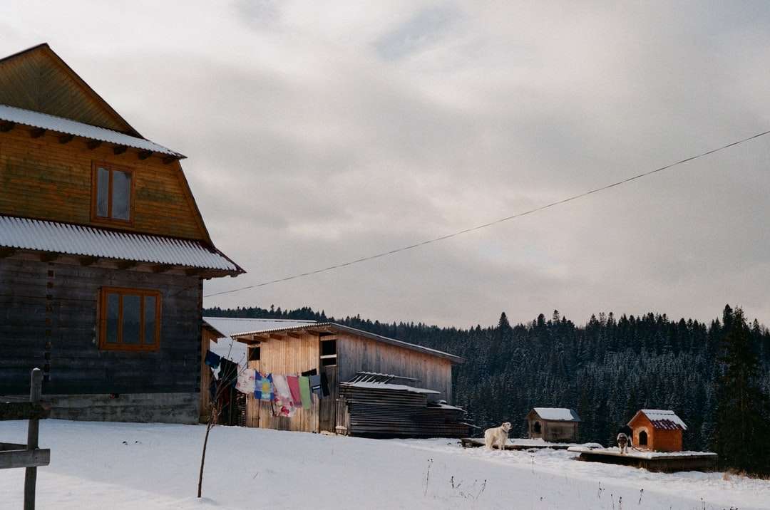 brązowy drewniany dom na ziemi pokrytej śniegiem puzzle online