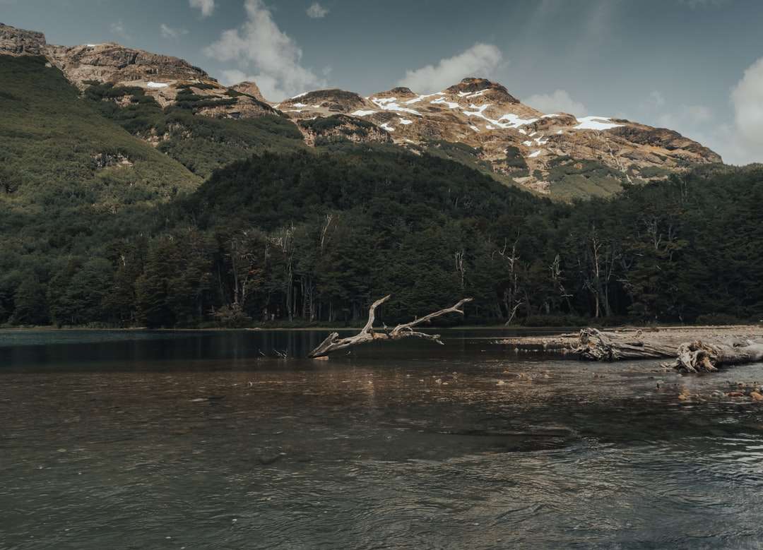 brązowy drewniany pomost nad jeziorem w pobliżu zielonych drzew i góry puzzle online