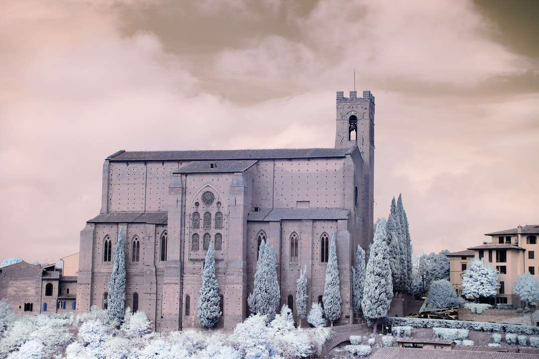 brązowy betonowy budynek ze śniegiem pokrytym drzewami puzzle online