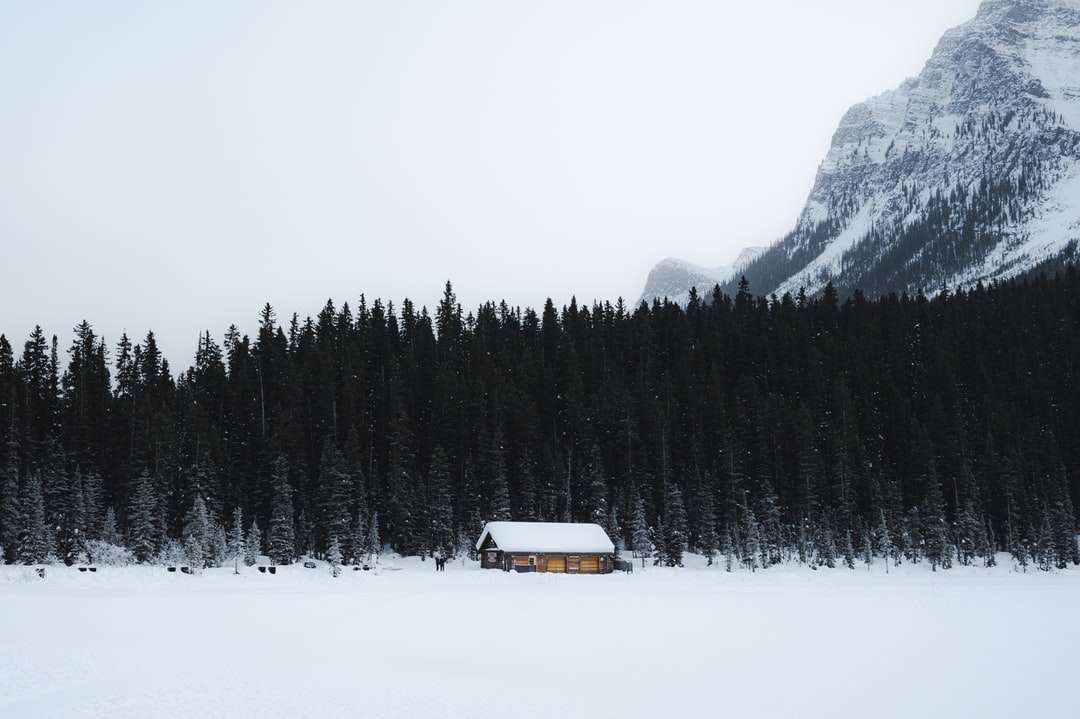 biały i brązowy dom na ziemi pokrytej śniegiem puzzle online
