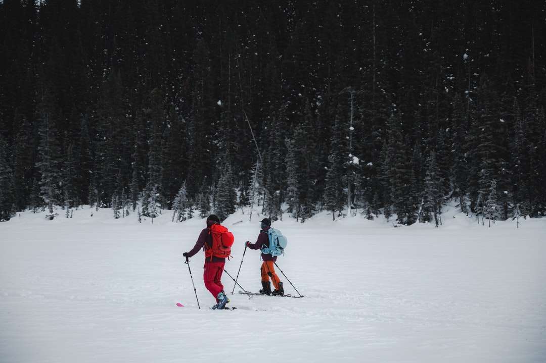 osoba w czerwonej kurtce i czarnych spodniach na nartach puzzle online
