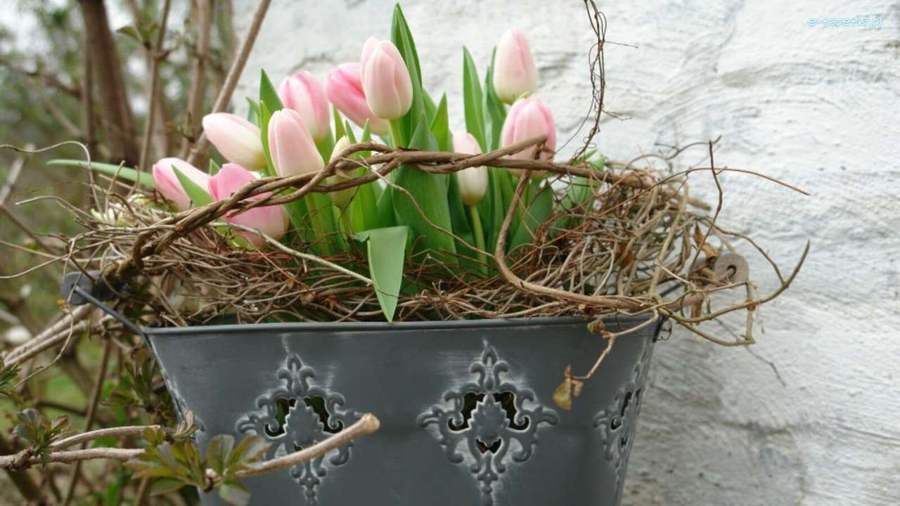 tulipany w wiaderku puzzle online