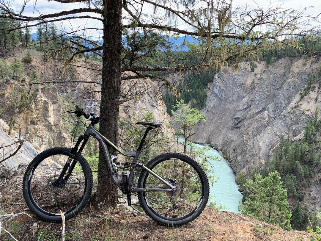 czarno-szary rower górski w pobliżu brązowego nagiego drzewa puzzle online