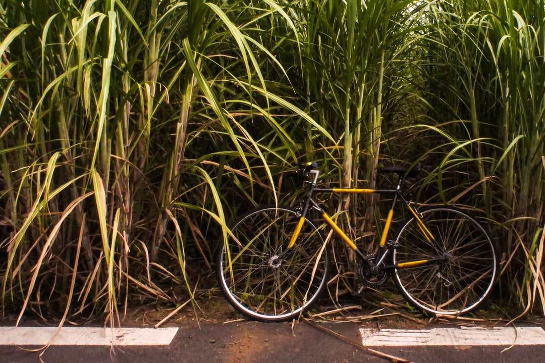 czarny rower zaparkowany obok zielonej rośliny puzzle online