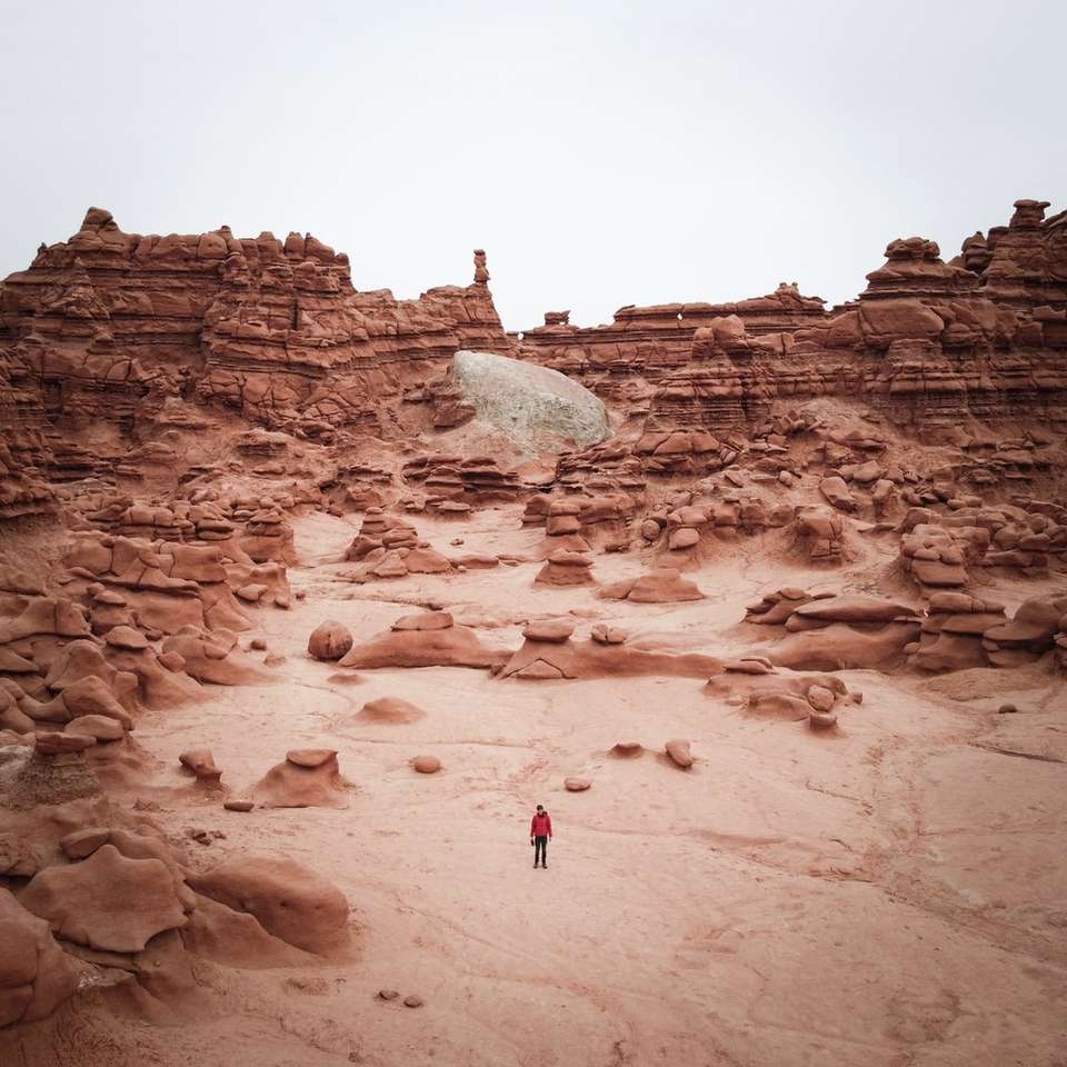 osoba w czerwonej kurtce chodząca po brązowym piasku w ciągu dnia puzzle online