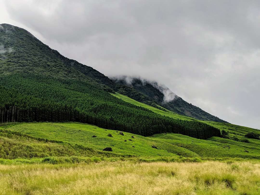 zielone pole trawy w pobliżu góry pod białymi chmurami puzzle online