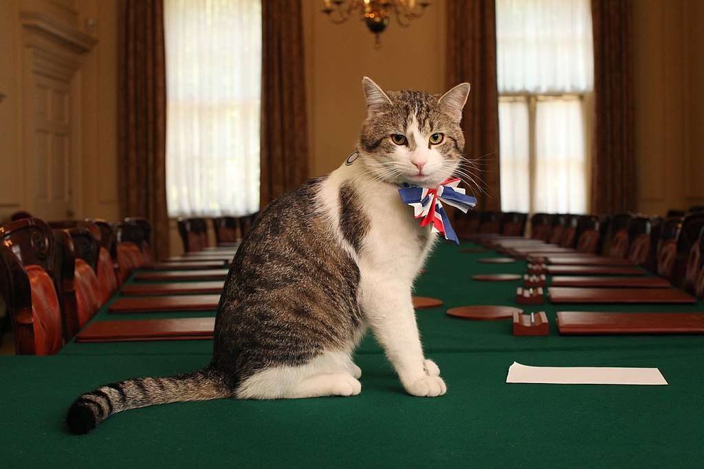 Chief Mouser to the Cabinet Office puzzle online