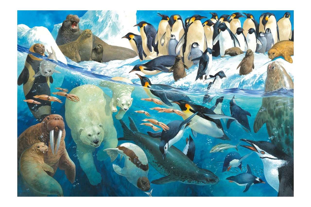 Zwierzęta polarne puzzle online