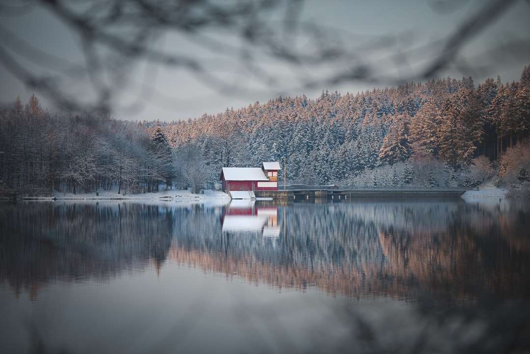 biały i czerwony dom w pobliżu jeziora otoczony drzewami puzzle online