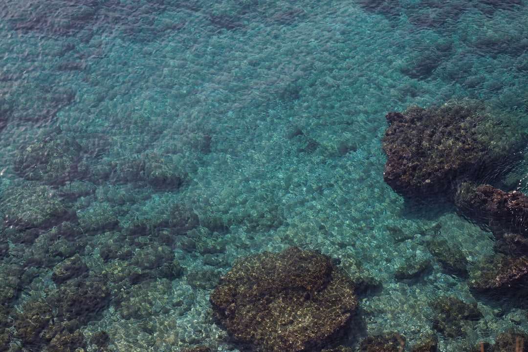 brązowe skały na zbiorniku wodnym w ciągu dnia puzzle online