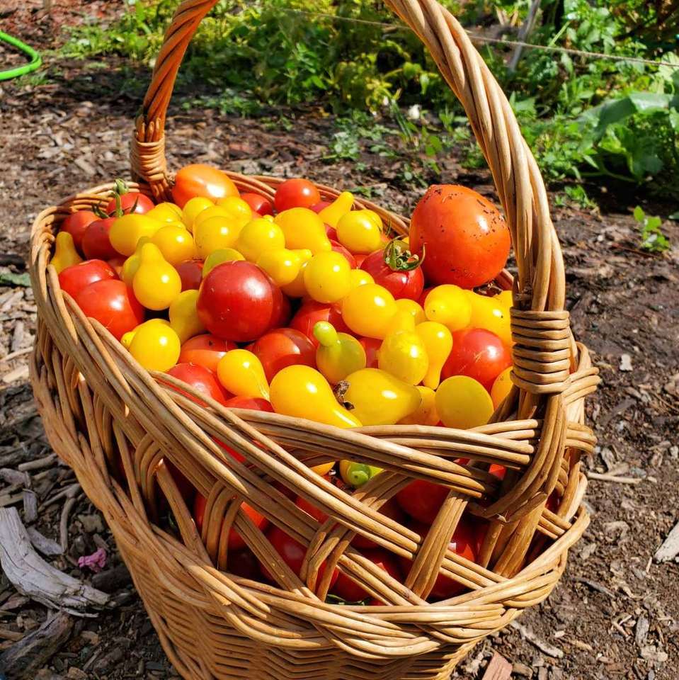 pomidorowy koszyk puzzle online