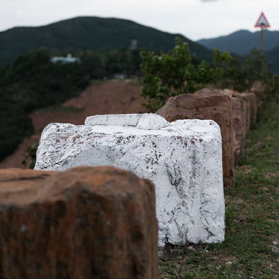 pedra de concreto branca em campo de grama verde durante o dia quebra-cabeça