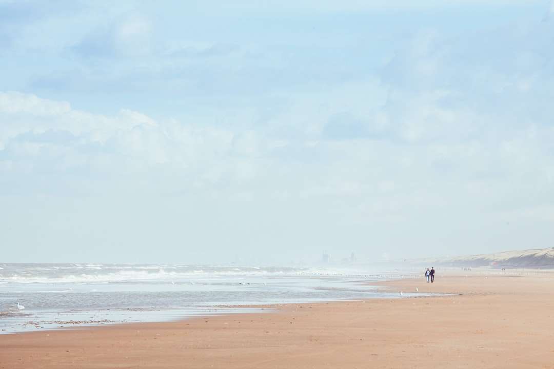 osoba spacerująca po plaży w ciągu dnia puzzle online