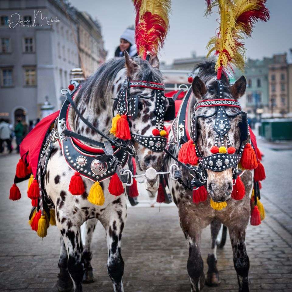 konie w krakowie puzzle online
